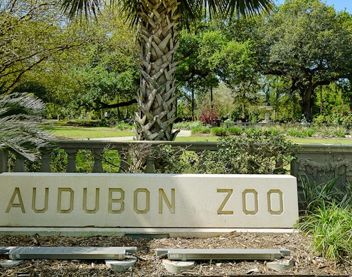 Audubon Zoo entrance sign with lush greenery in New Orleans Audubon Park.