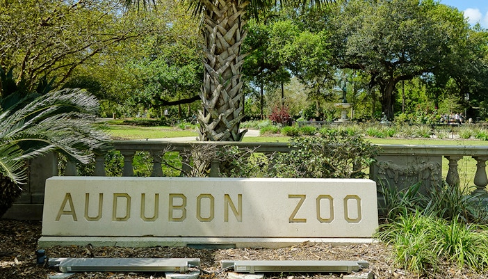 New Orleans Audubon Park Zoo.