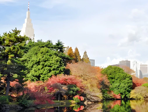Shinjuku Gyoen garden with autumn foliage and city skyline in Tokyo, Japan.