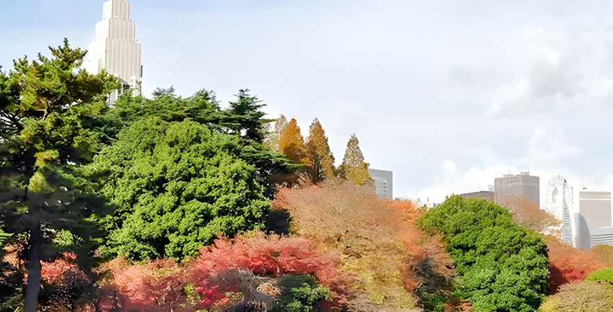 Shinjuku Gyoen National Park