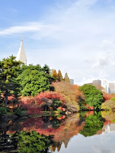 Shinjuku Gyoen National Park