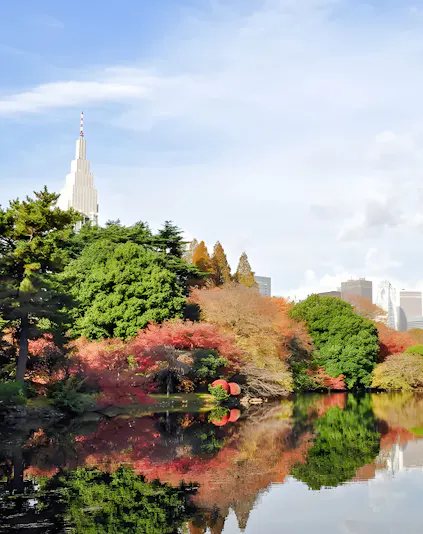 Shinjuku Gyoen garden with autumn foliage and city skyline in Tokyo, Japan.
