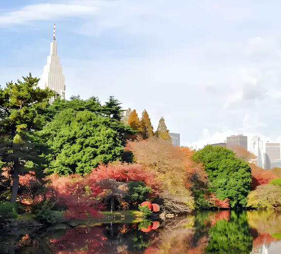 Shinjuku Gyoen garden with autumn foliage and city skyline in Tokyo, Japan.