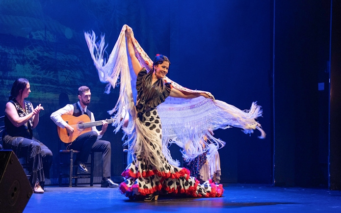 Flamenco dancer performing with musicians at Teatro Flamenco Granada.