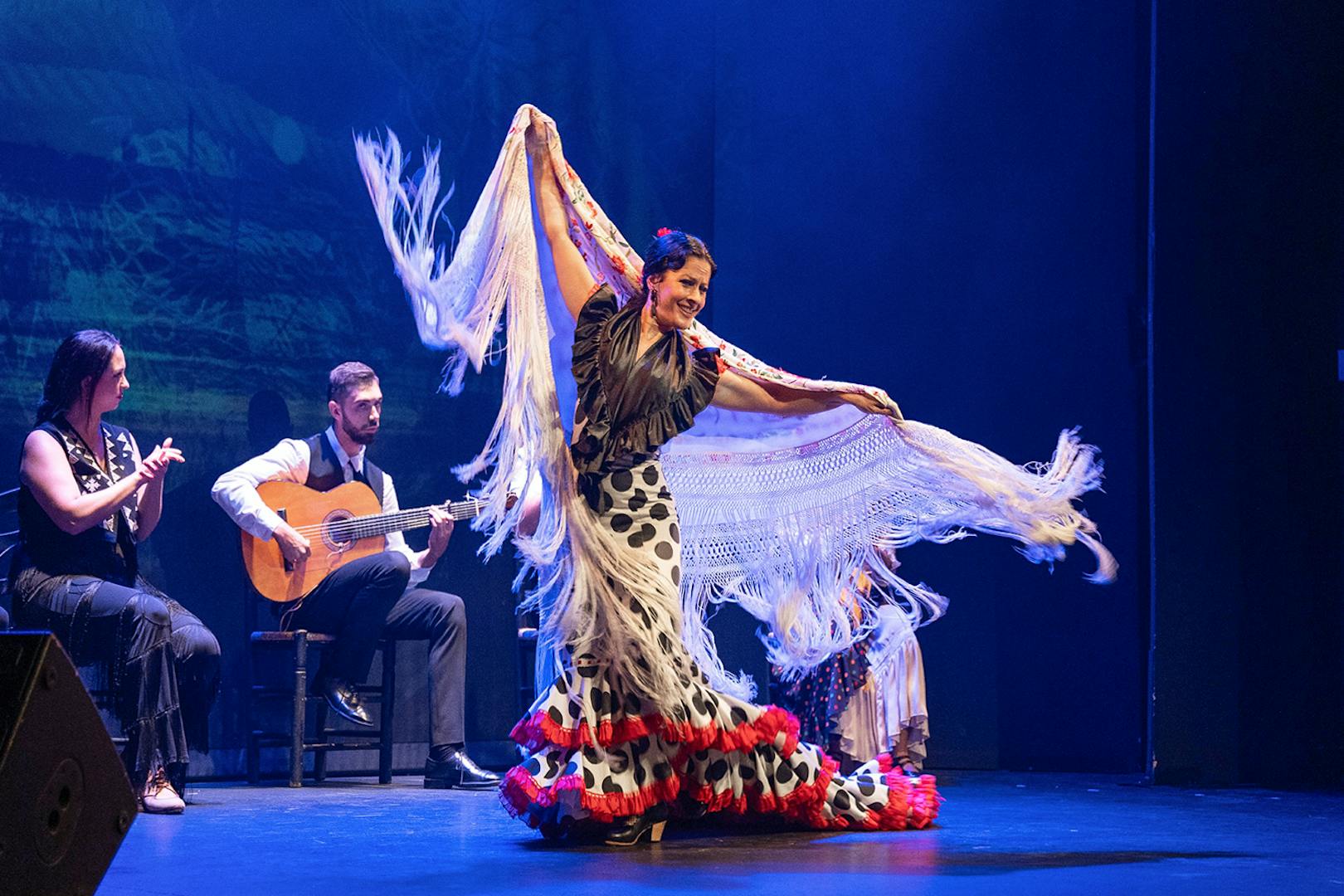 Flamenco dancer performing with musicians at Teatro Flamenco Granada.
