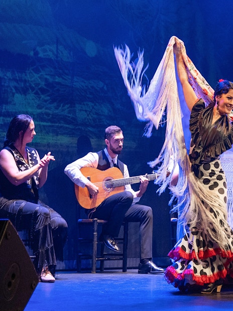 Flamenco dancer performing with musicians at Teatro Flamenco Granada.