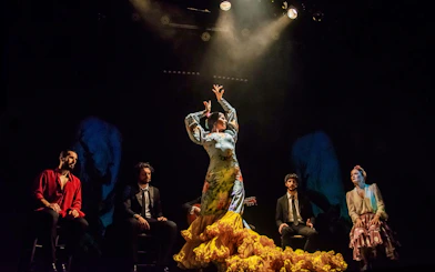 Flamenco dancer performing on stage at Teatro Flamenco Madrid with musicians seated around.