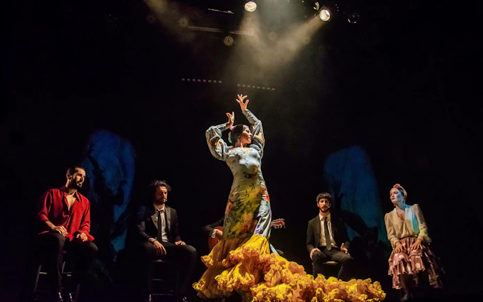 Flamenco dancer performing on stage at Teatro Flamenco Madrid with musicians seated around.