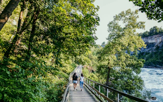 Visitors walking along a wooden path by the Niagara River surrounded by lush greenery.