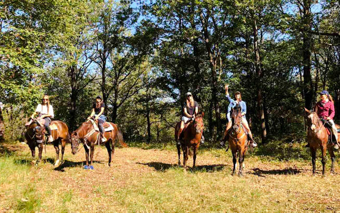 Side Beach and Forest Horseback Riding with Hotel Transfers