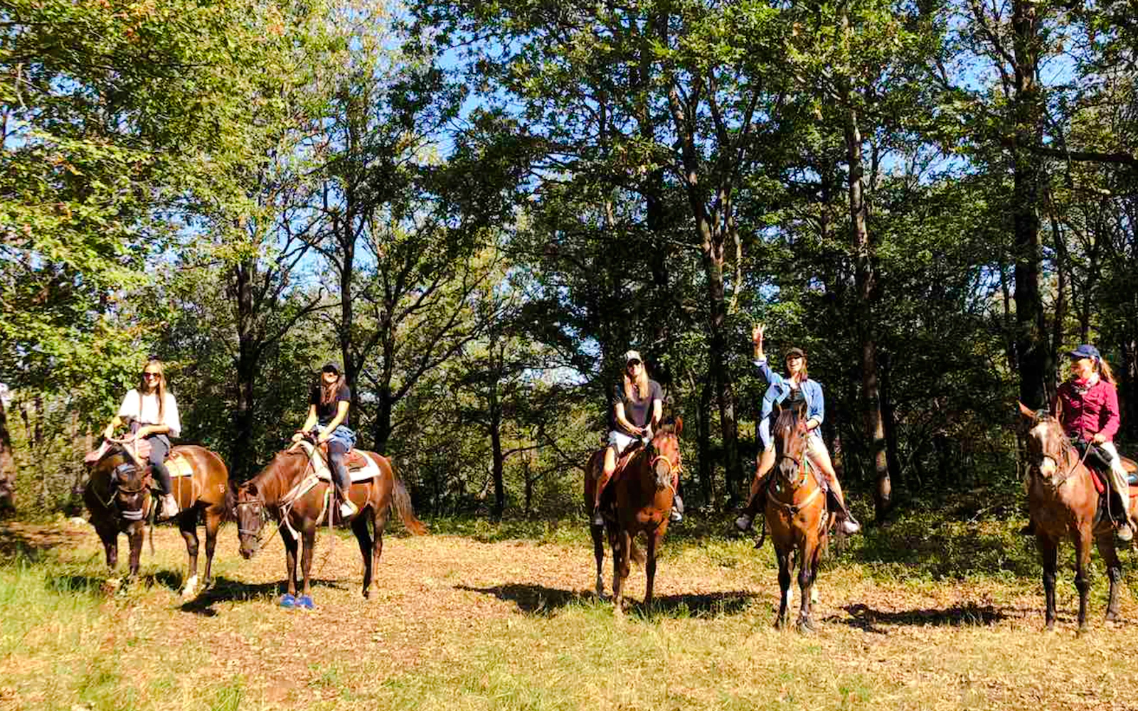 Side Beach and Forest Horseback Riding with Hotel Transfers Image 3