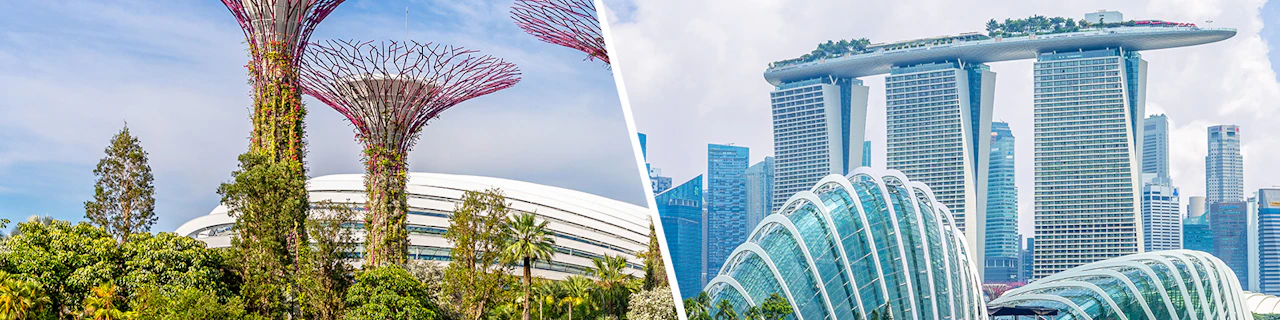Combo: Biglietti per lo SkyPark del Marina Bay Sands + Gardens by the Bay