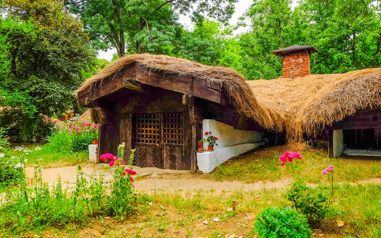 Traditional thatched-roof house at Dimitrie Gusti National Village Museum, Bucharest.