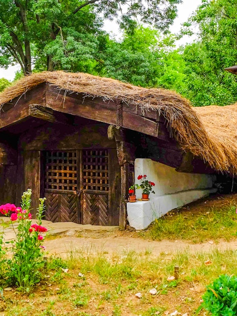 Traditional thatched-roof house at Dimitrie Gusti National Village Museum, Bucharest.
