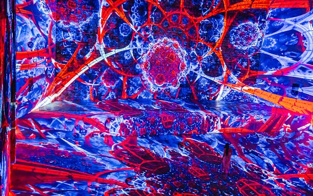 Immersive digital art installation at Other World Gallery, REXKL, with vibrant red and blue patterns.