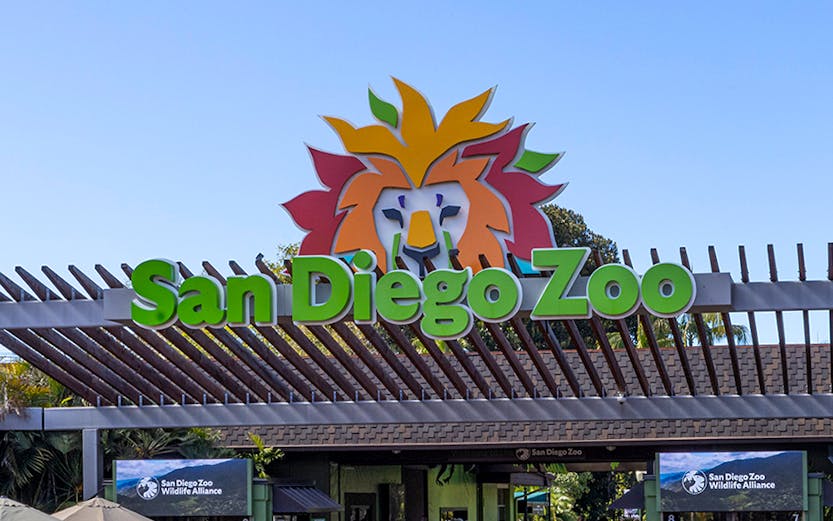 San Diego Zoo entrance with visitors walking in.