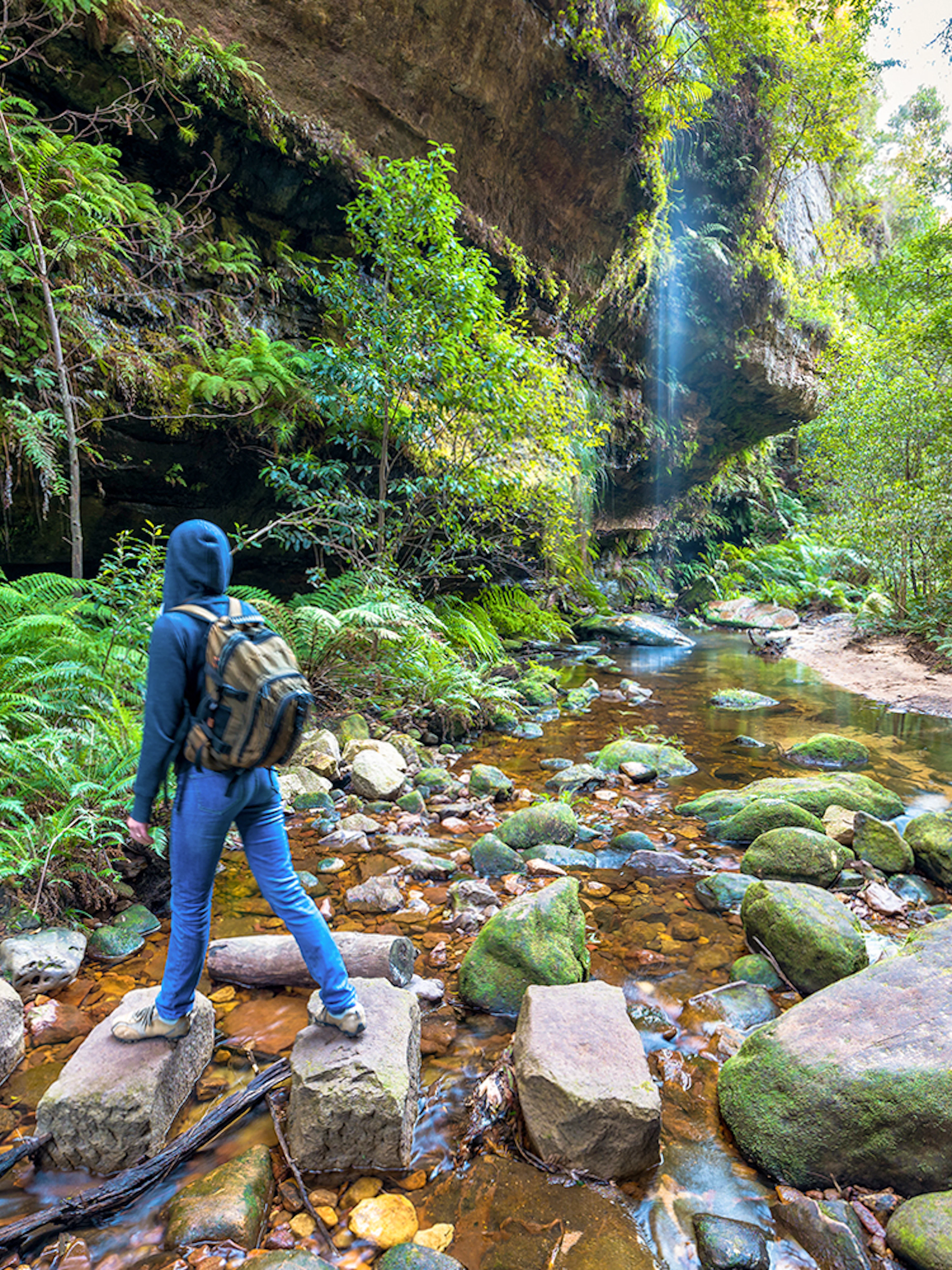 Hiker crossing a rocky stream in Blue Mountains, surrounded by lush greenery.