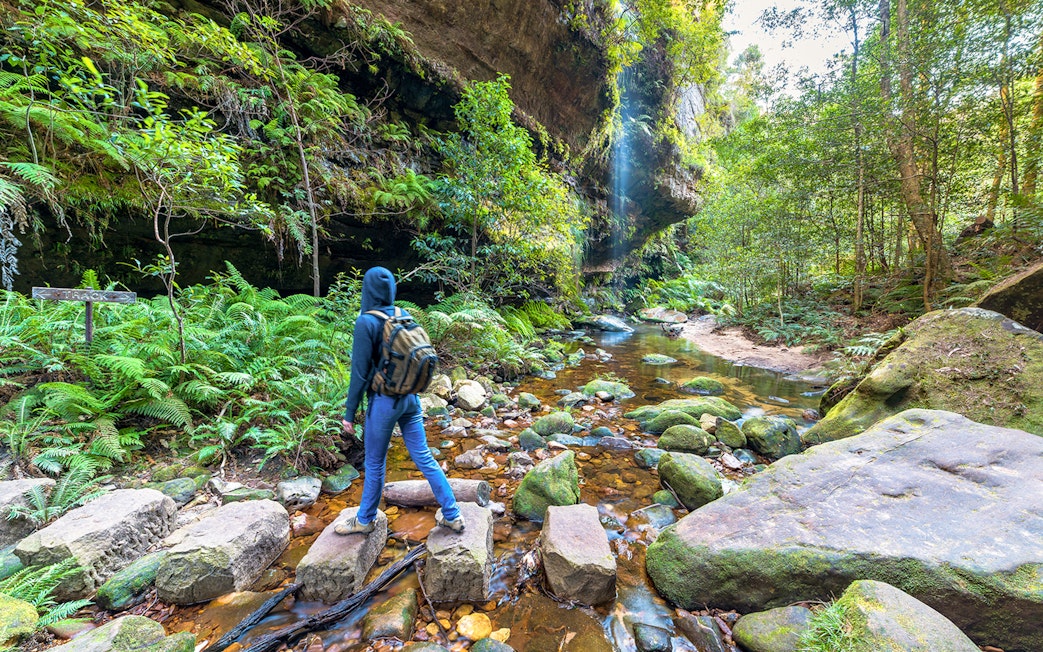 Hiker crossing a rocky stream in Blue Mountains, surrounded by lush greenery.