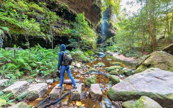 Blue Mountains Adventure Tour: Scenic World, Sydney Zoo, Koala Photo & Harbour Ferry Return
