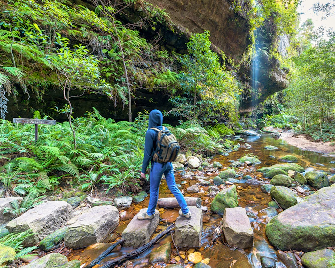 Blue Mountains Adventure Tour: Scenic World, Sydney Zoo, Koala Photo & Harbour Ferry Return