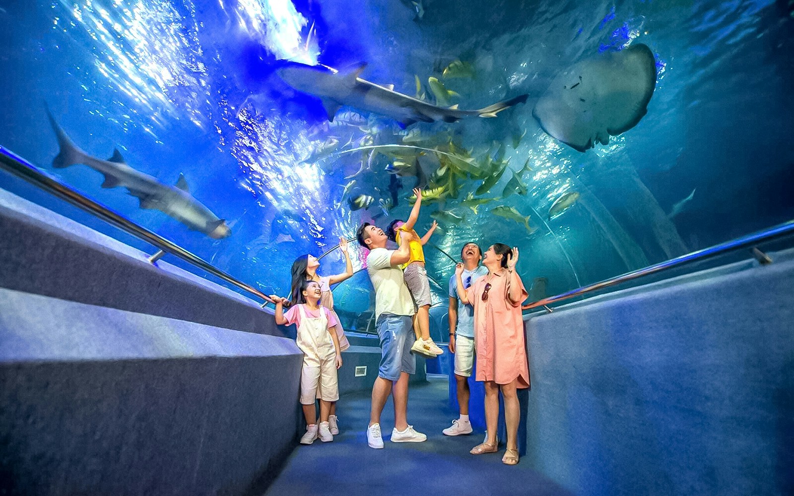 Family observing sharks and marine life in an aquarium tunnel.
