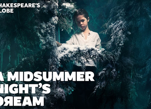 Le Songe d'une nuit d'été (A Midsummer Night's Dream)