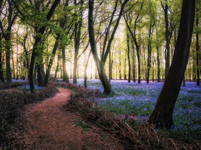 Ashridge Estate