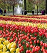 Keukenhof