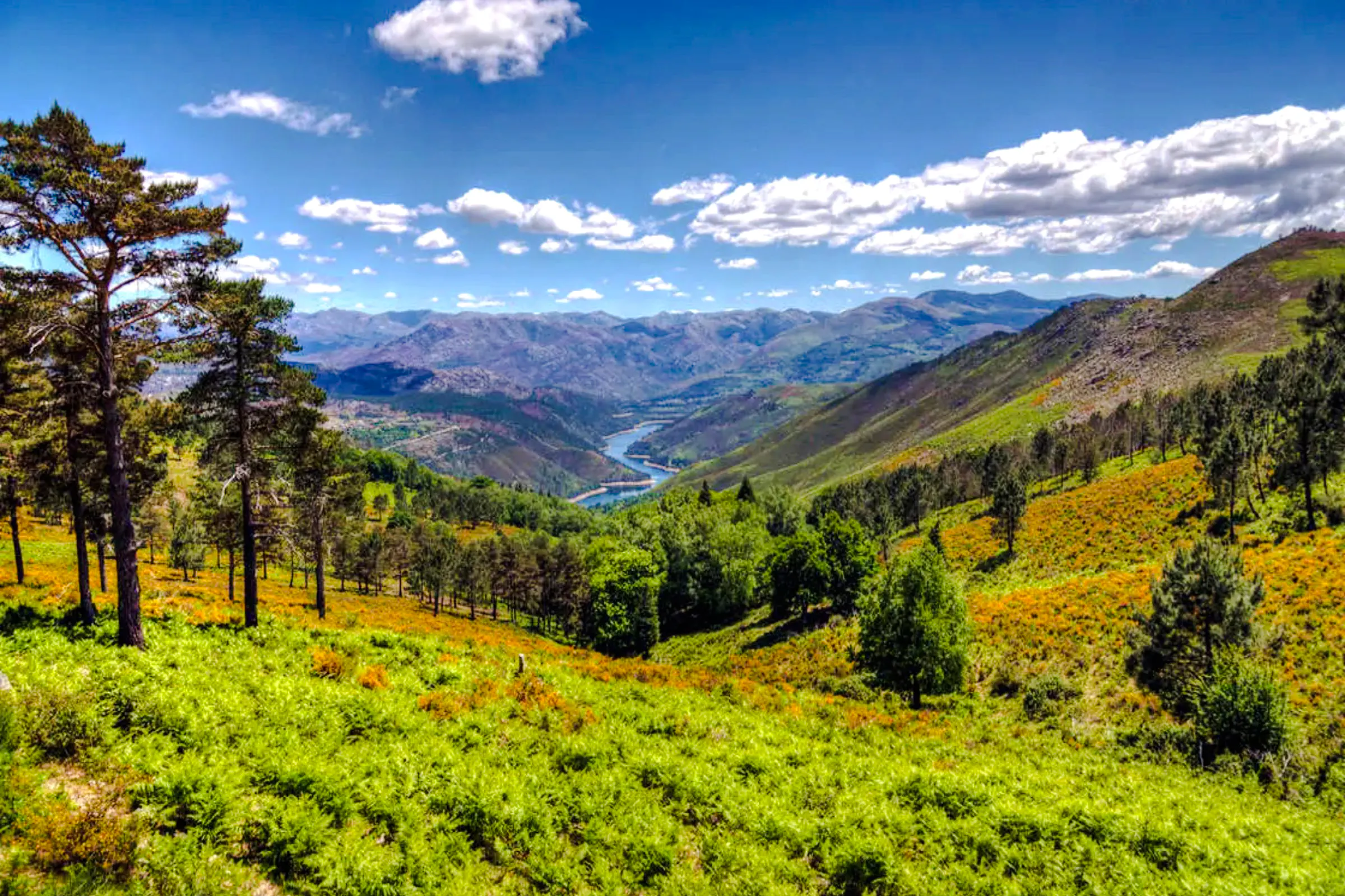 Hiking trail through lush greenery and mountains in Peneda-Geres National Park, Porto.