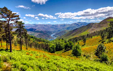 Hiking trail through lush greenery and mountains in Peneda-Geres National Park, Porto.
