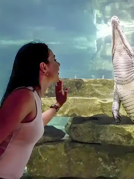 Woman observing a crocodile underwater at Dubai Crocodile Park.