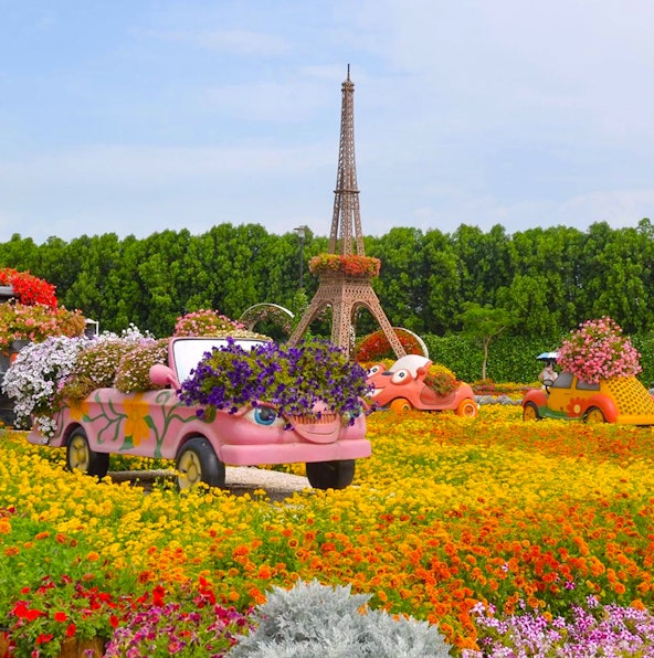 Navigate Dubai Miracle Garden: Detailed map & attractions