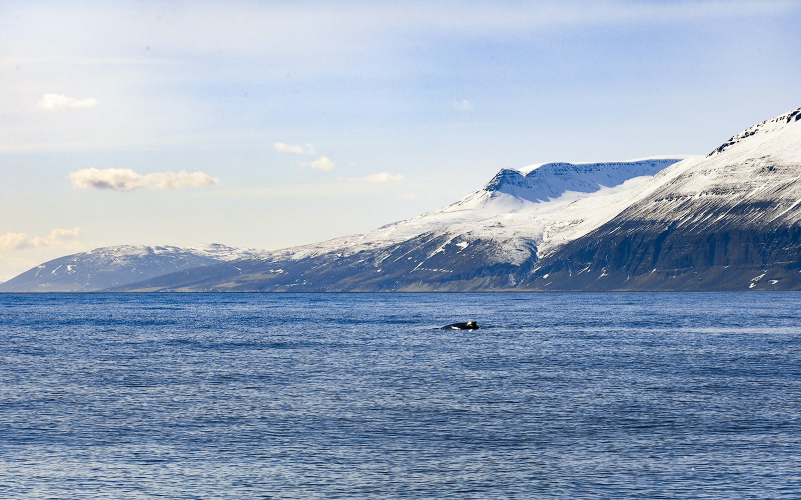 Scenery shaped by volcanic cliffs and Arctic light
