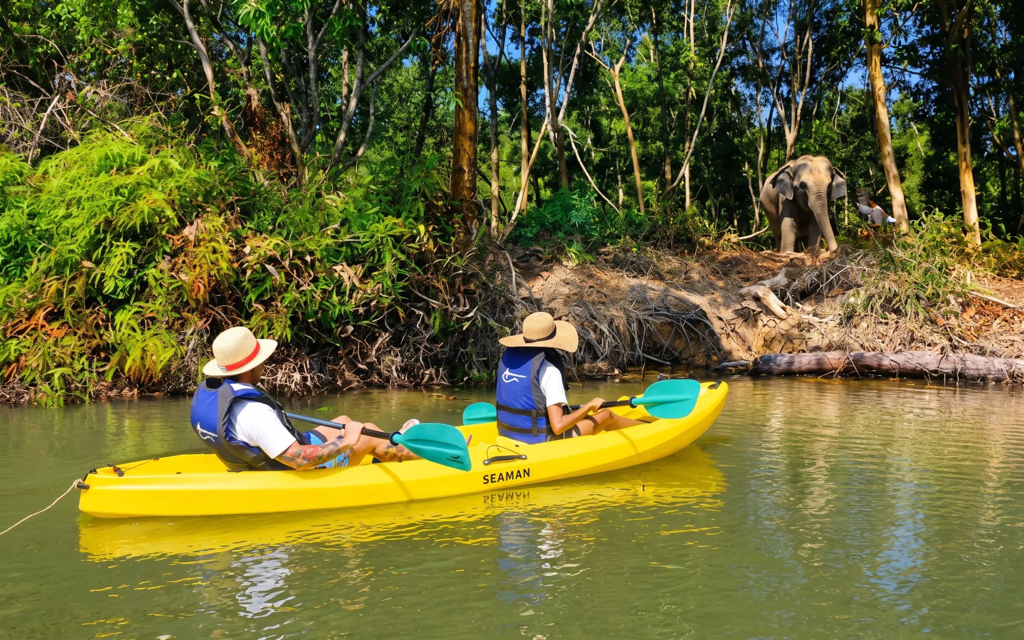 Visitors in conical hats kayaking on a river, observing an elephant on the forested bank.