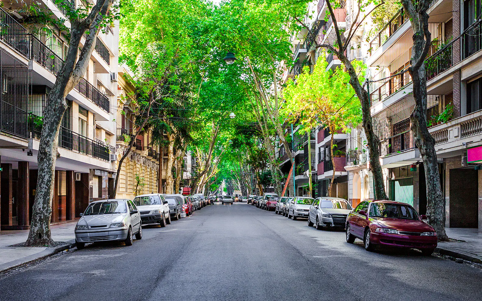 Recoleta