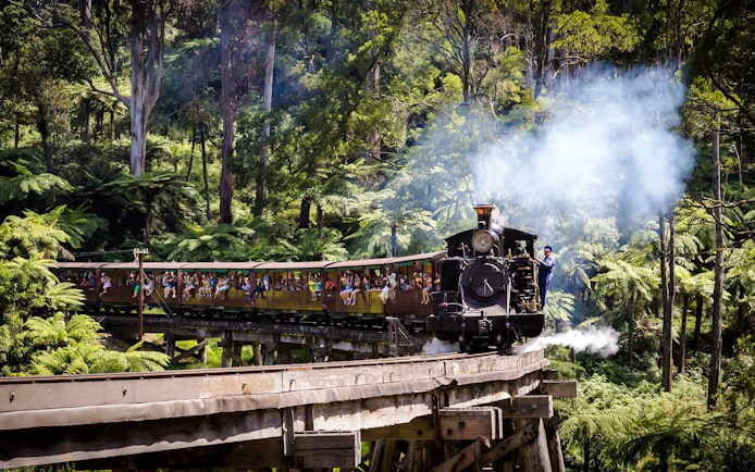 Puffing Billy steam train crossing a trestle bridge in lush forest, Melbourne.