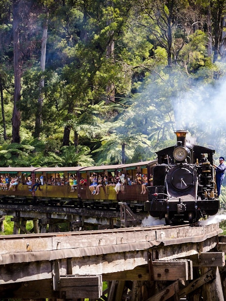 Puffing Billy steam train crossing a trestle bridge in lush forest, Melbourne.