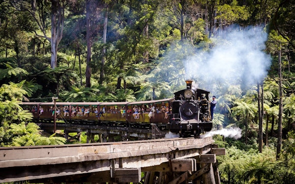 From Melbourne: Puffing Billy Train Ride & Phillip Island Guided Tour