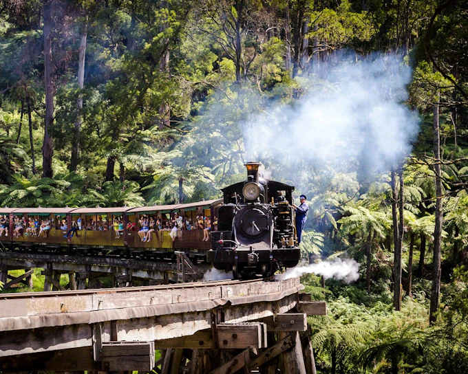 From Melbourne: Puffing Billy Train Ride & Phillip Island Guided Tour