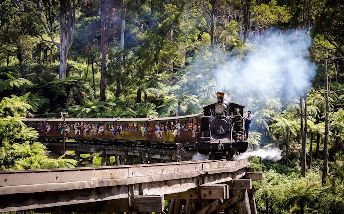 Puffing Billy steam train crossing a trestle bridge in lush forest, Melbourne.