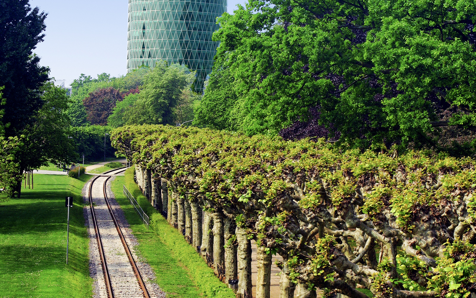 Nizza Gardens in Frankfurt, surrounded by lush greenery and vibrant flower beds.