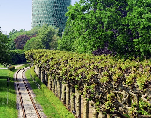 Nizza Gardens in Frankfurt, surrounded by lush greenery and vibrant flower beds.