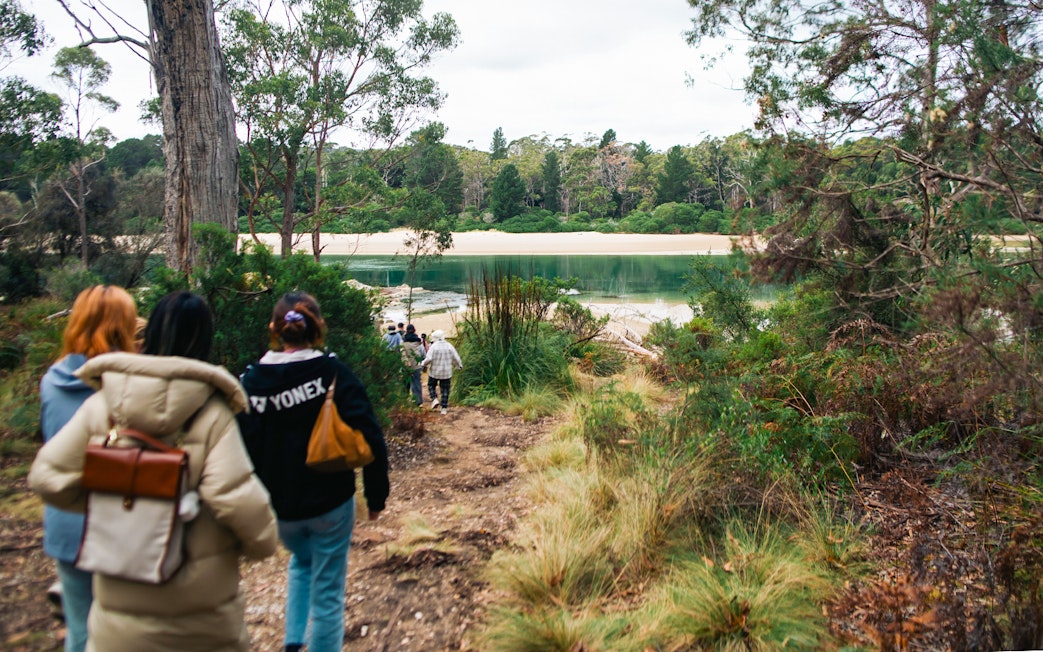 Group walking through forest towards Bruny Island beach, Hobart tour.