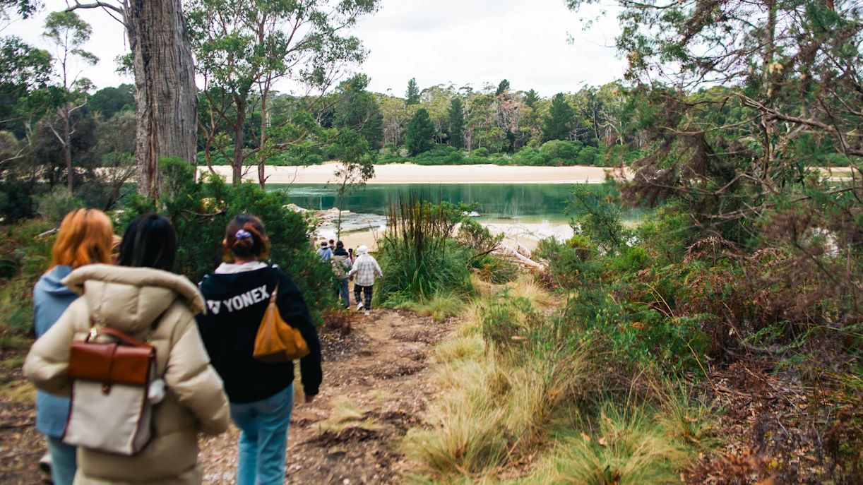 Group walking through forest towards Bruny Island beach, Hobart tour.