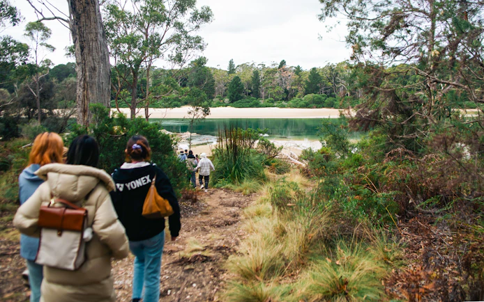 Group walking through forest towards Bruny Island beach, Hobart tour.