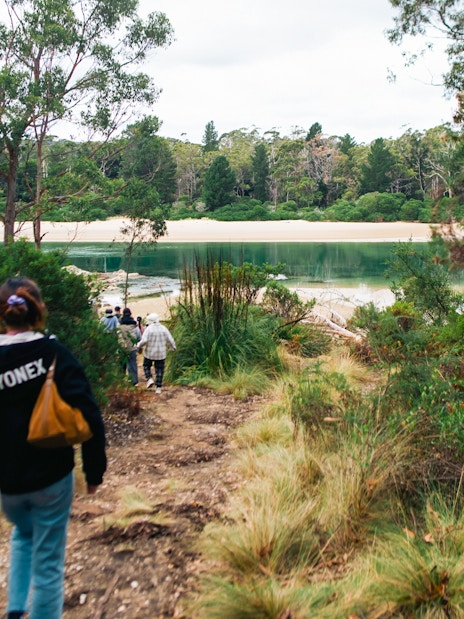 Group walking through forest towards Bruny Island beach, Hobart tour.