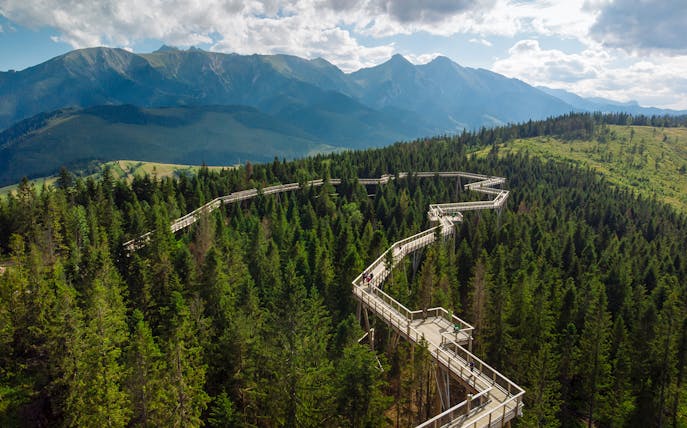 Treetop walkway winding through forest with mountain views in Slovakia.
