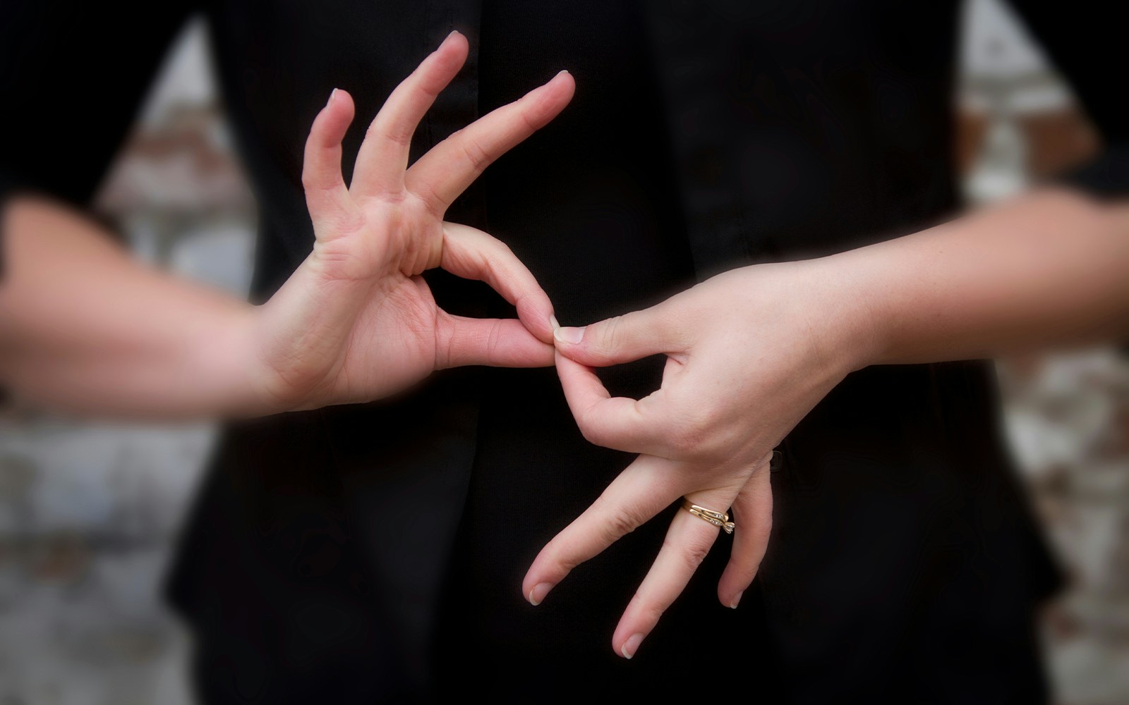 Hands demonstrating sign language interpretation.