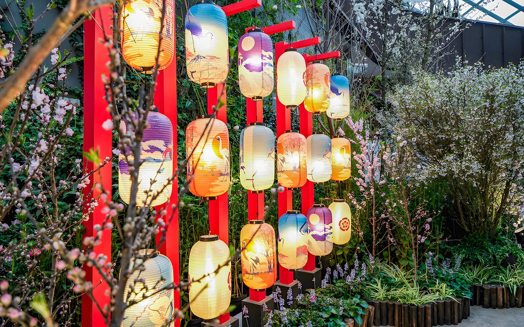 Lanterns among cherry blossoms at Gardens by the Bay during sakura bloom.