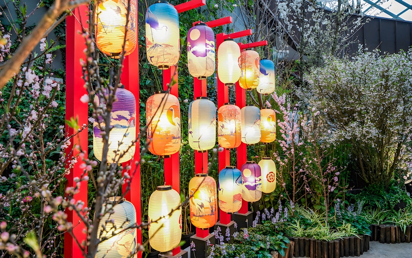 Lanterns among cherry blossoms at Gardens by the Bay during sakura bloom.